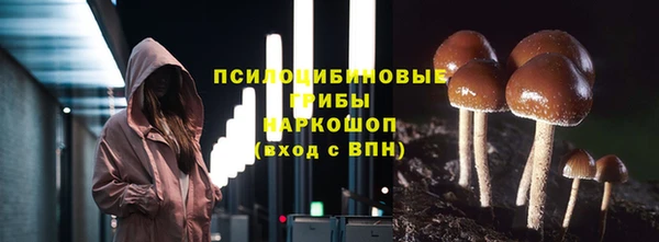 тгк Алзамай