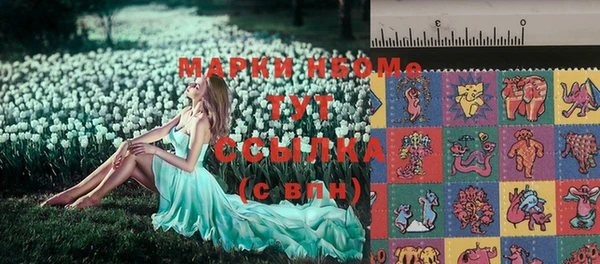 тгк Алзамай